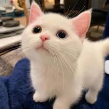 กวิน กาญจนพาสน์ avatar